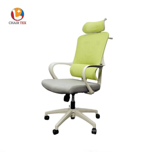 Ergonomic Chair CT-168