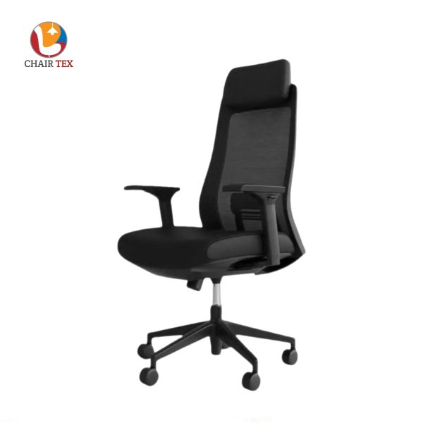Ergonomic Chair CT-172