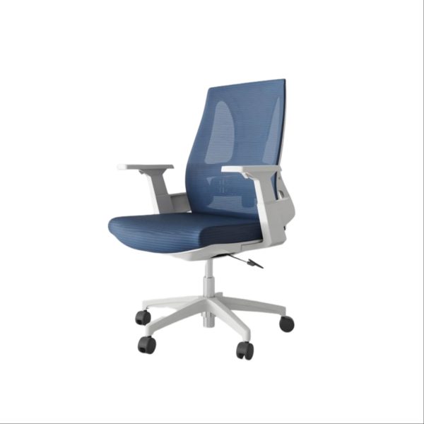 Ergonomic Chair CT-166M