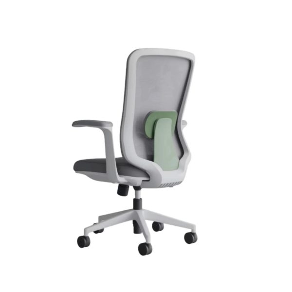 Ergonomic Chair CT-174M