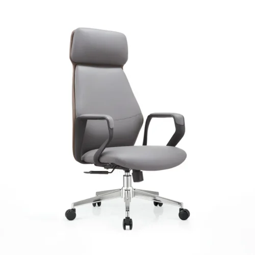 Diractor Chair CT-157