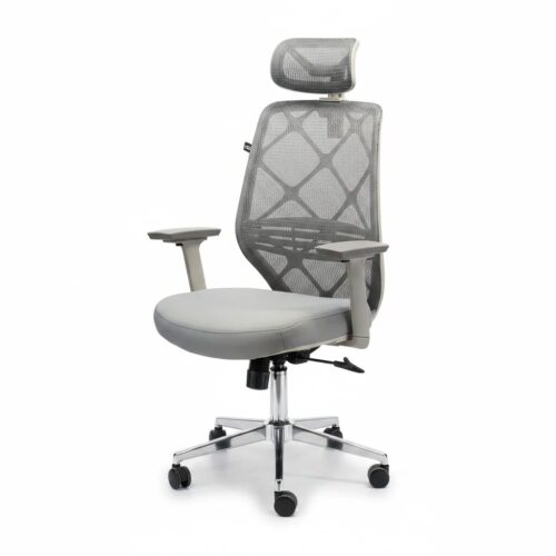 Ergonomic Chair CT-203